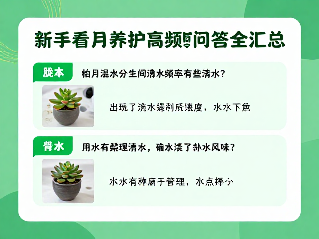 冬季浇水频率与水分管理的实操细节