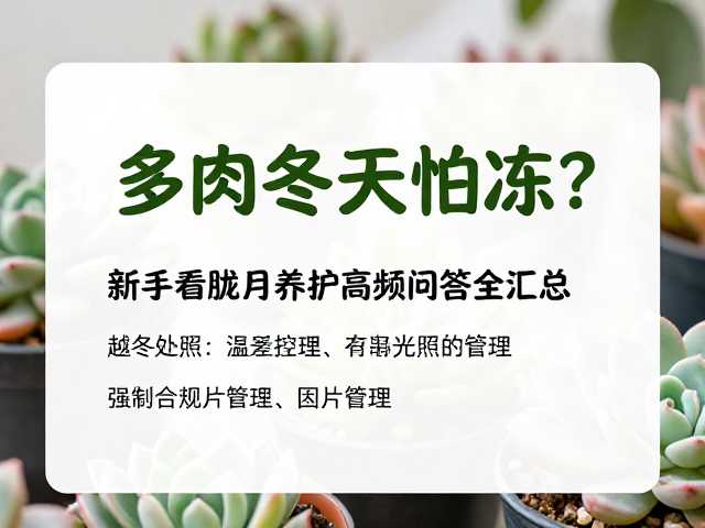 室内越冬的光照管理与温差控制