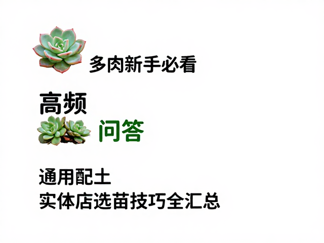 高频问答与日常养护细节