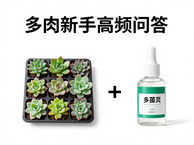 多菌灵的科学作用机制与施用场景