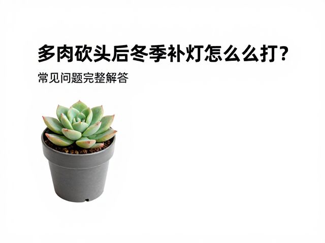 常见问题与风险规避