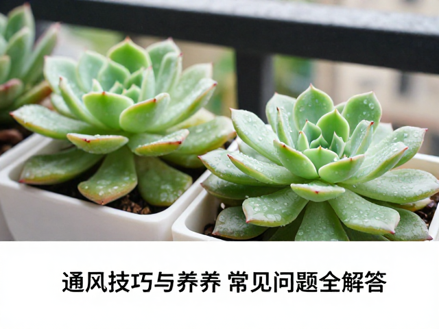 阳台通风系统的优化与搭建