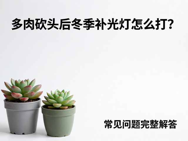 摆放距离与时间控制策略