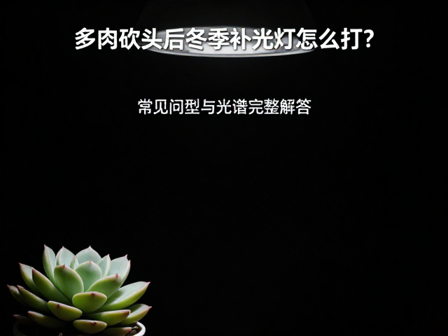 灯具选型与光谱参数设定