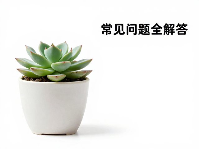 浅盆适合种什么多肉?