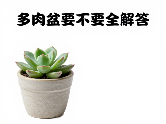 常见问题全解答