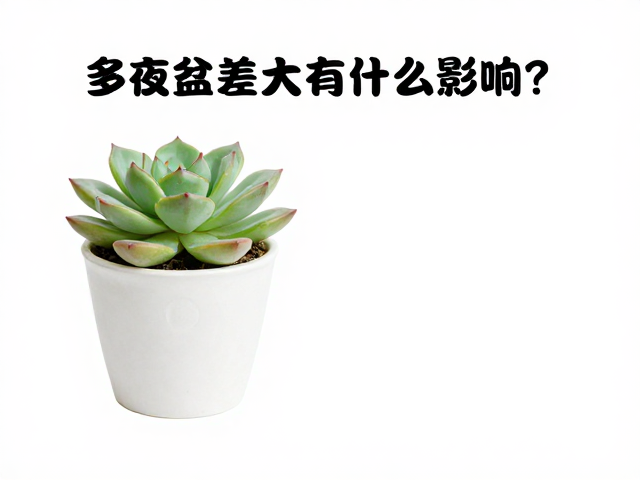 昼夜温差管理与养护常见问答
