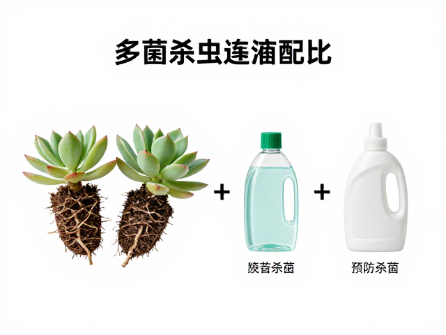 杀菌与杀虫药剂的选择与配比