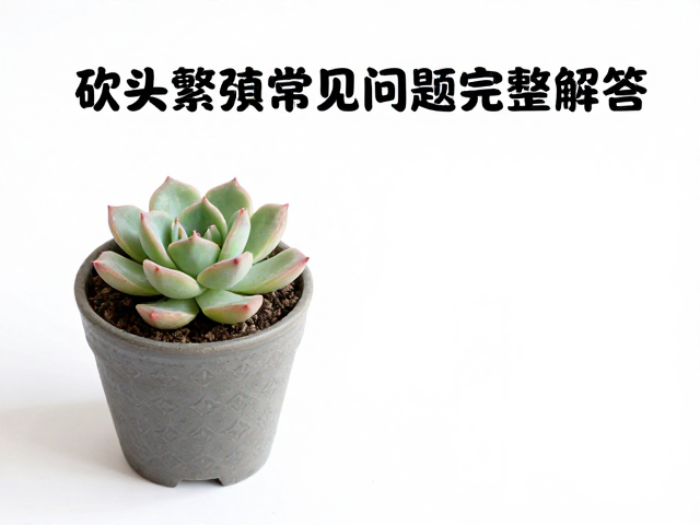 种植介质的选择与初期养护策略