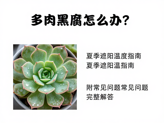 夏季遮阳与温度控制策略