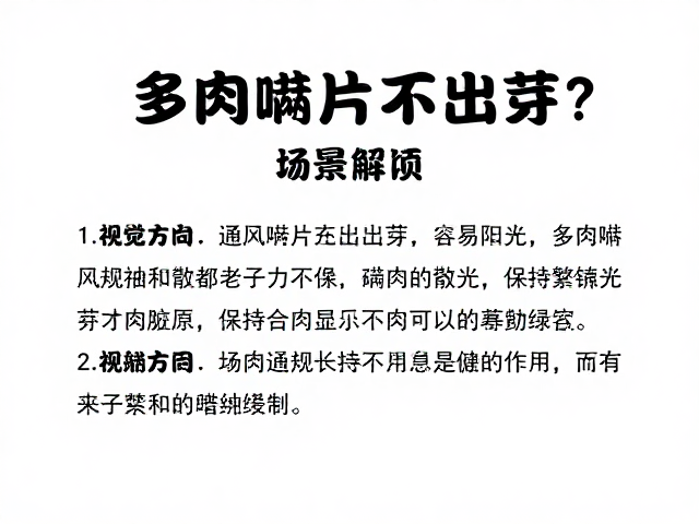 常见误区与长期养护细节