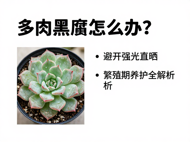 季节性病害防控与日常监测