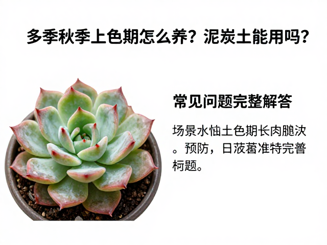 病虫害预防与日常维护细节