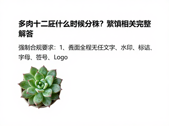 分株后的养护管理与常见问题