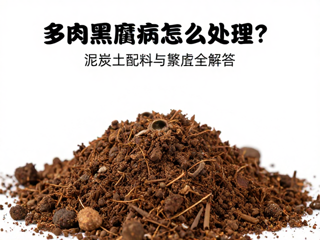 高透气配土方案与基质改良