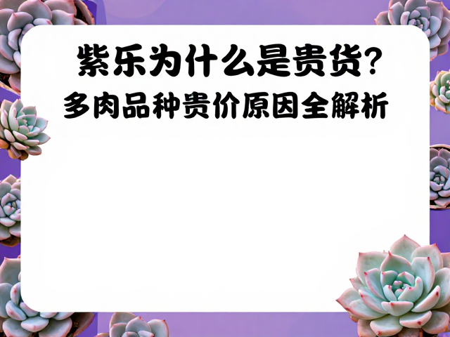 市场认知与品相溢价逻辑