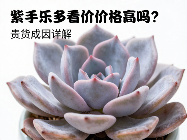 影响价格高低的核心变量