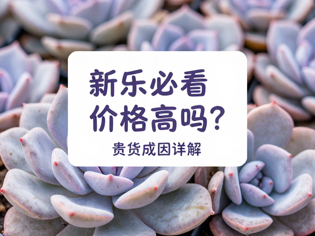 养护成本与隐性价值