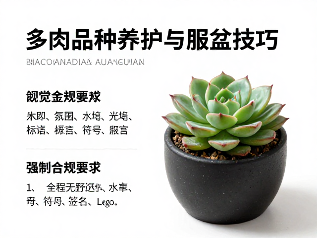 环境光照与温度控制要点