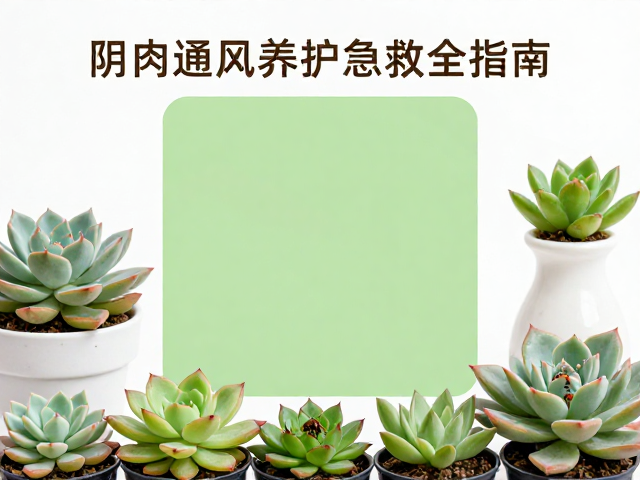 物理清除与隔离隔离措施