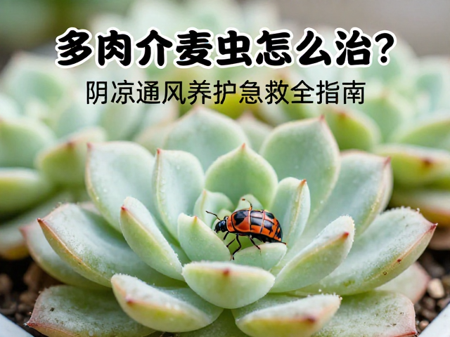 针对性药剂的选择与施用逻辑