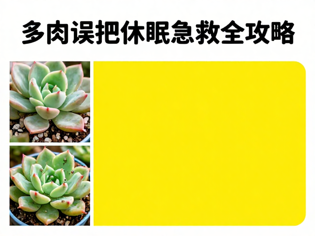 环境调控与日常预防体系