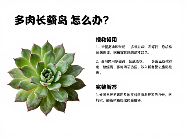 多菌灵粉末的正确使用逻辑