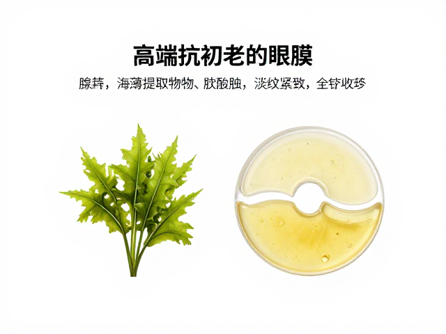 技术工艺与透皮吸收的效率优化