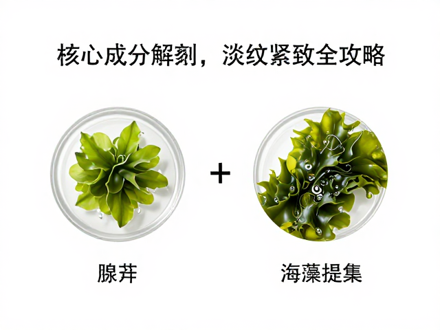 腺苷,海藻提取物,高端抗初老眼膜揭秘,淡纹紧致全攻略
