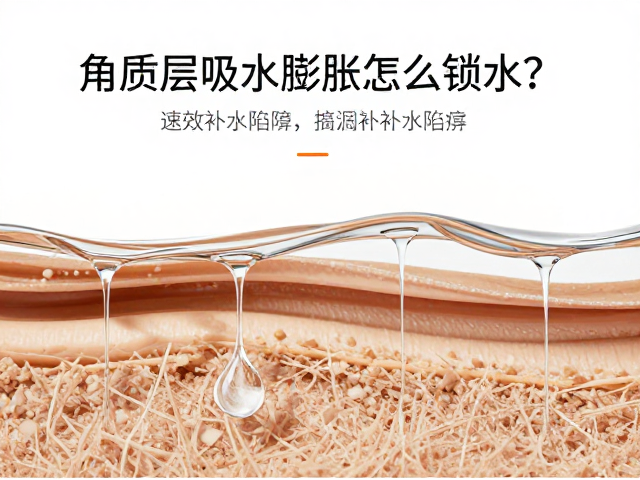 脂质屏障在锁水过程中的核心作用