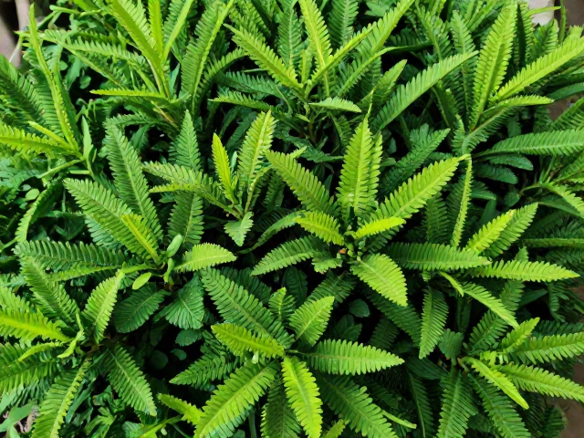 耐高温环境下的稳定性表现