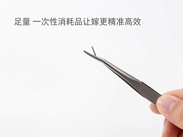 操作细节对嫁接效率的影响机制