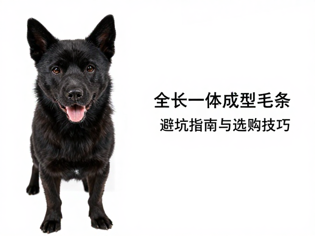 避坑指南：识别劣质毛条的常见陷阱