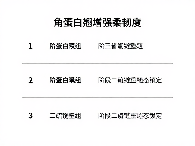 阶段二：二硫键重组与形态锁定