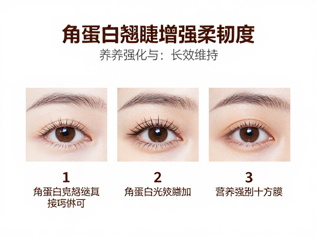 阶段三：营养强化与长效维持