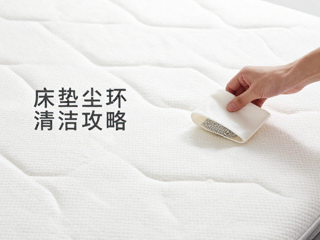 床垫清洁攻略，破坏螨虫生存环境，记得清理尘杯