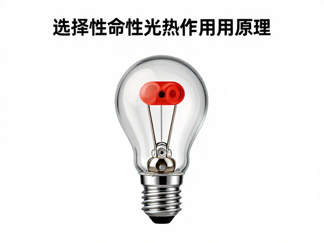 灯头寿命对能量输出稳定性的影响