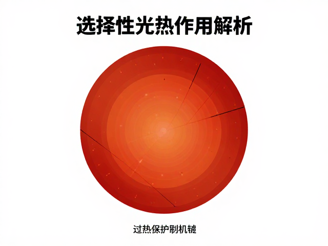 过热保护机制的热损伤阈值