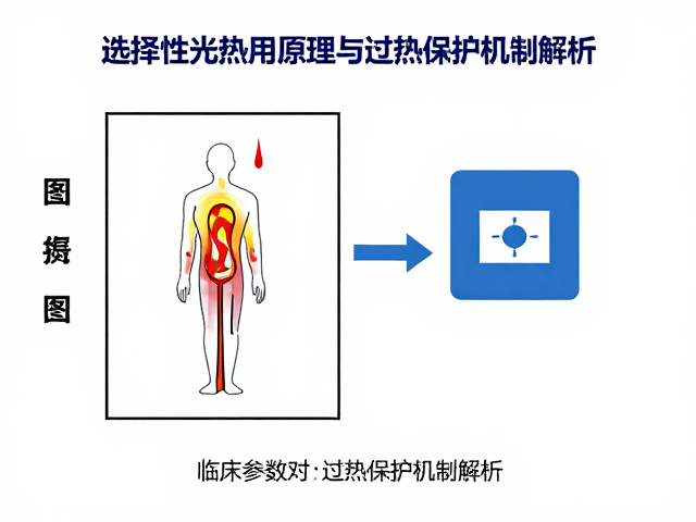 临床参数对热效应的调控