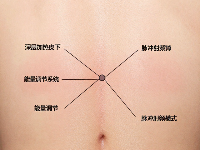 安全性边界与个体差异的应对