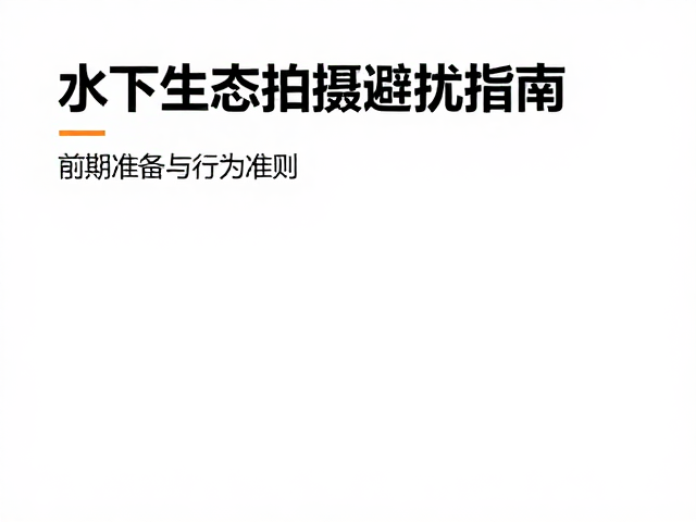 水下生态拍摄避扰指南:前期准备与行为准则