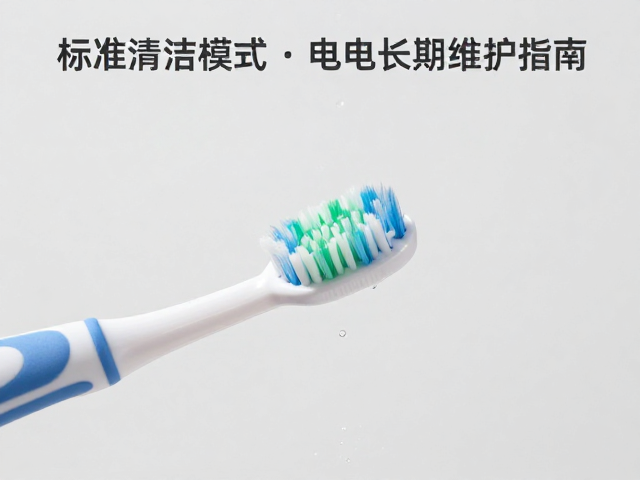 电池续航管理与长期维护策略