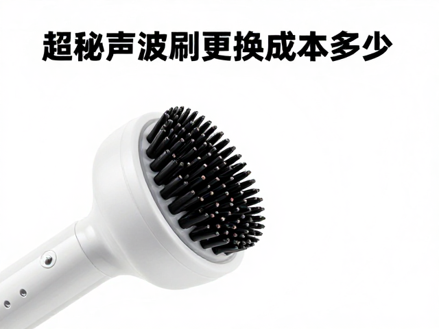 长期维护成本与健康效益的综合评估