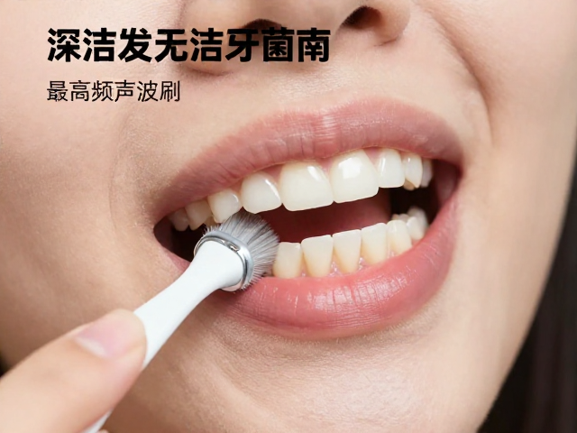 使用手法与清洁效果的关联性分析
