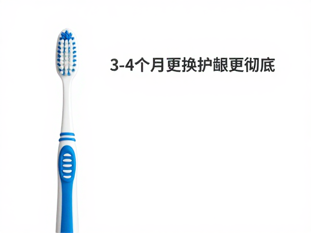 定期更换牙刷的科学依据与卫生标准