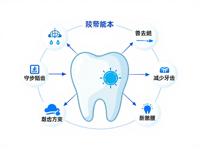 核心成分与作用机理的科学解析