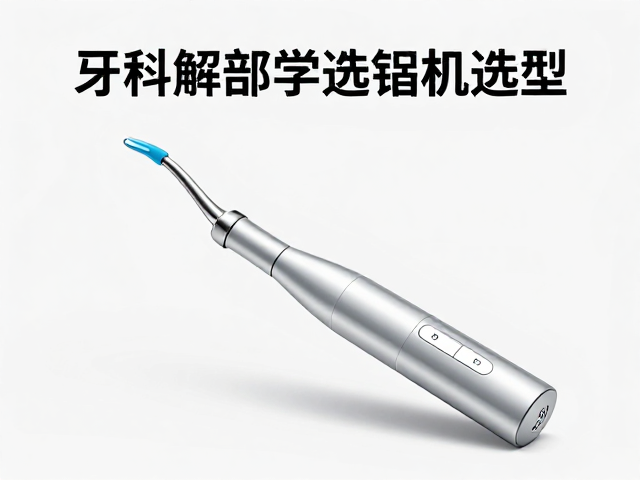 临床选型策略与解剖适配原则
