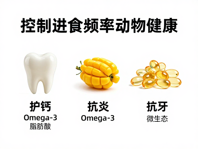 Omega-3脂肪酸调节口腔微生态