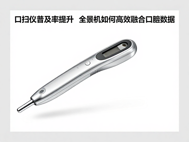 技术瓶颈与未来整合路径