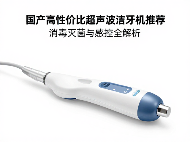 选购与维护中的关键考量因素